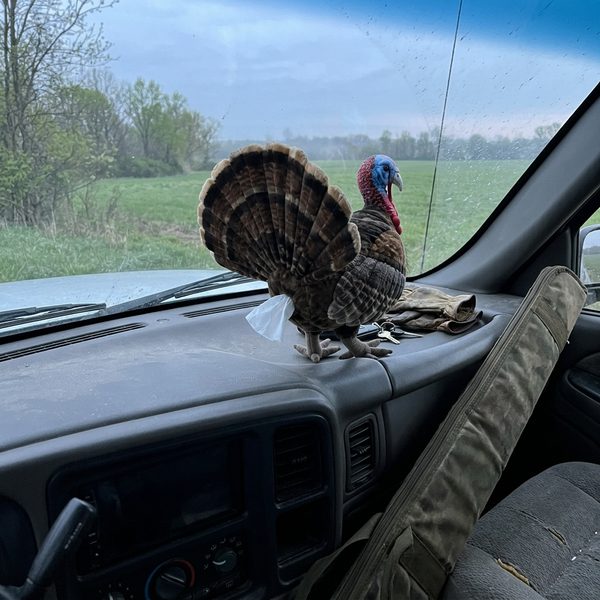 Hunter photo